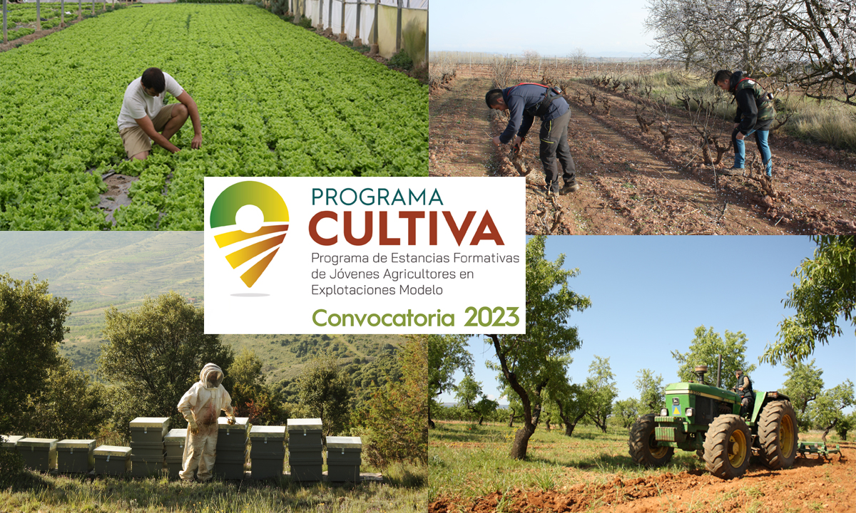 Programa CULTIVA 2023 estancias Formativas Para J venes En Programa CULTIVA 2023 estancias Formativas Para J venes En