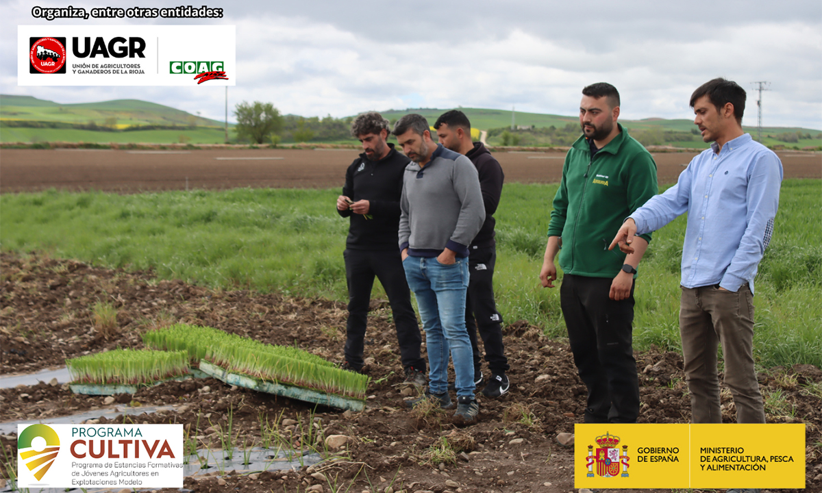 Quinta Estancia Del Programa CULTIVA Hortalizas En Leiva UAGR Quinta Estancia Del Programa CULTIVA Hortalizas En Leiva UAGR