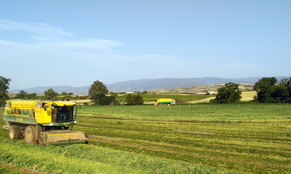 Se buscan encargados de campo y maquinistas