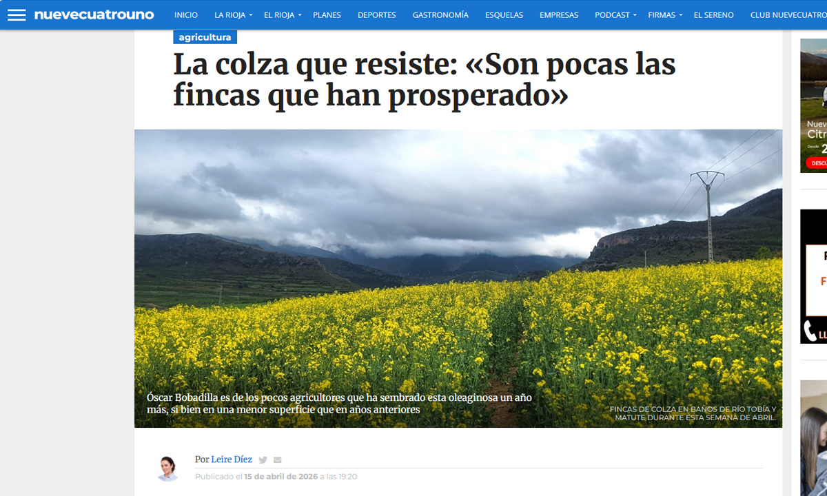 Dificultoso cultivo de colza esta campaña